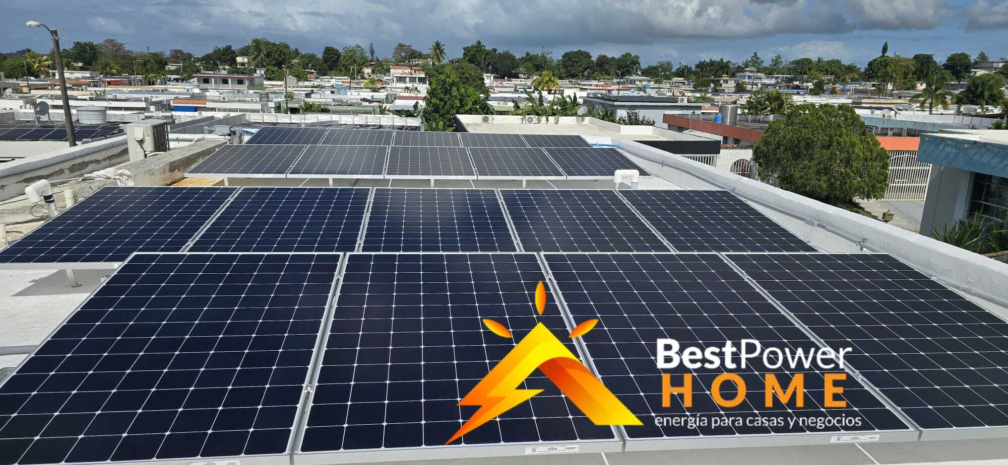 WhatsApp Image 2026-02-11 at 23.52.29 (2)