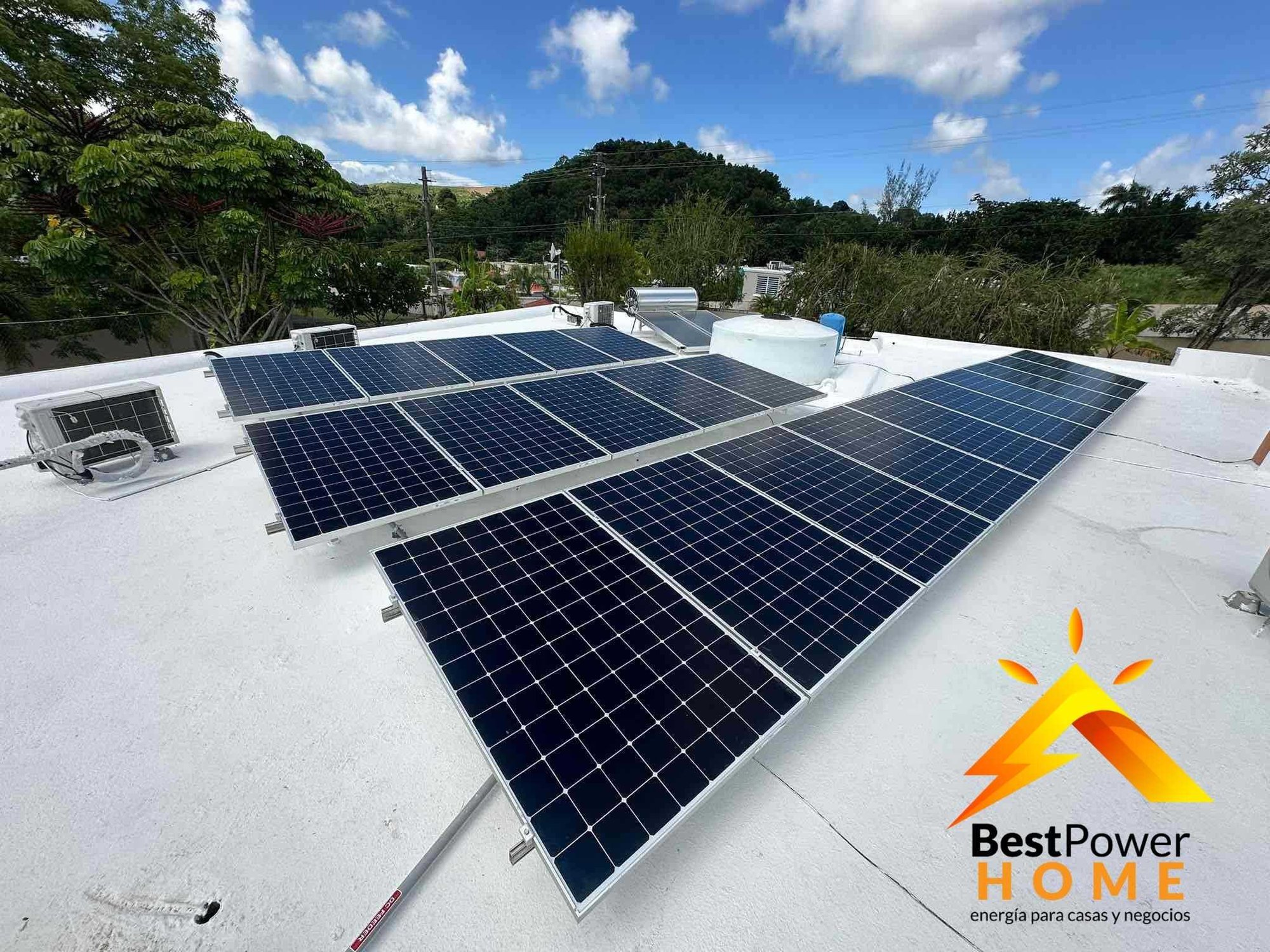 WhatsApp Image 2026-02-11 at 23.52.29