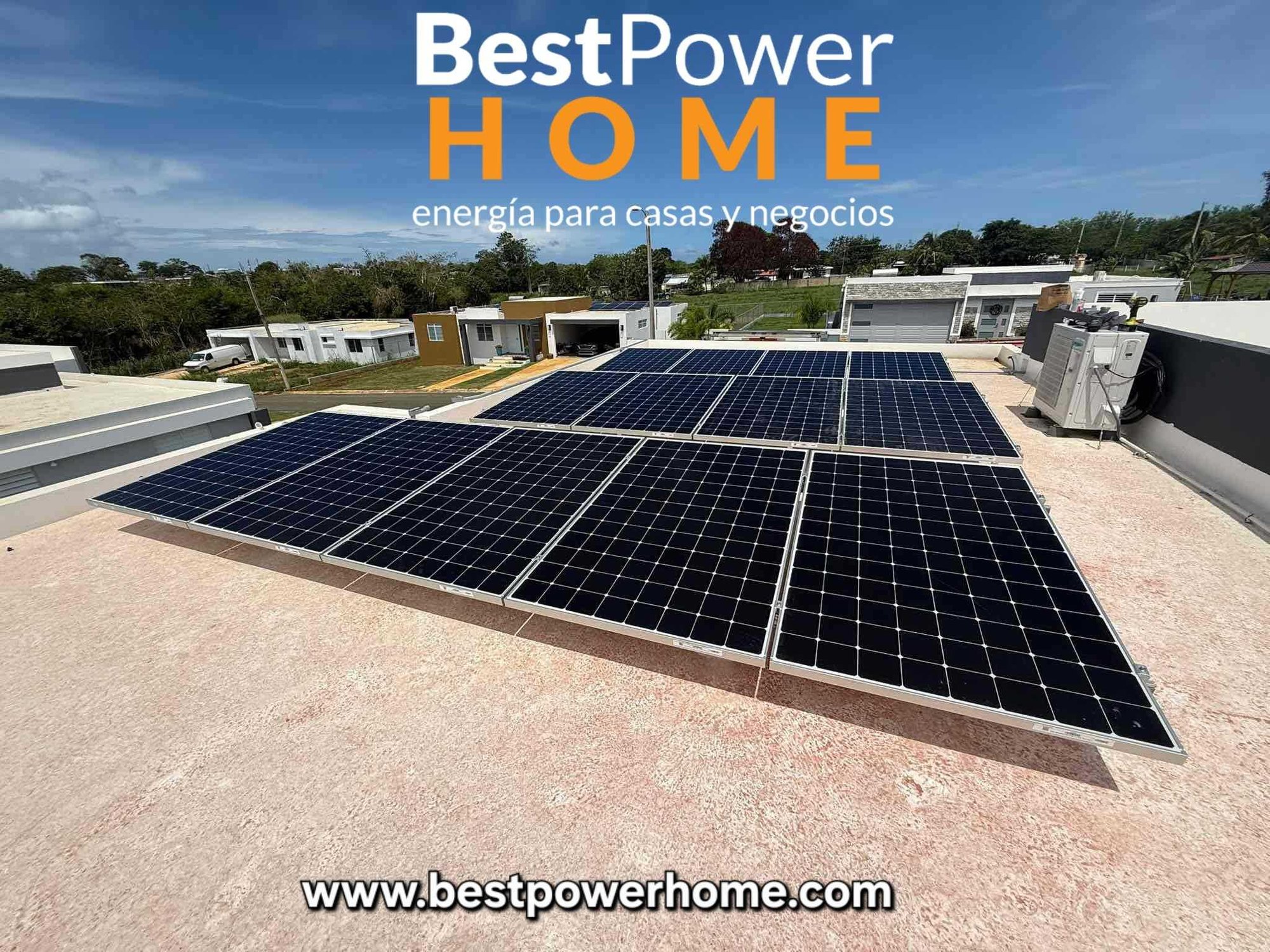 WhatsApp Image 2026-02-11 at 23.52.30